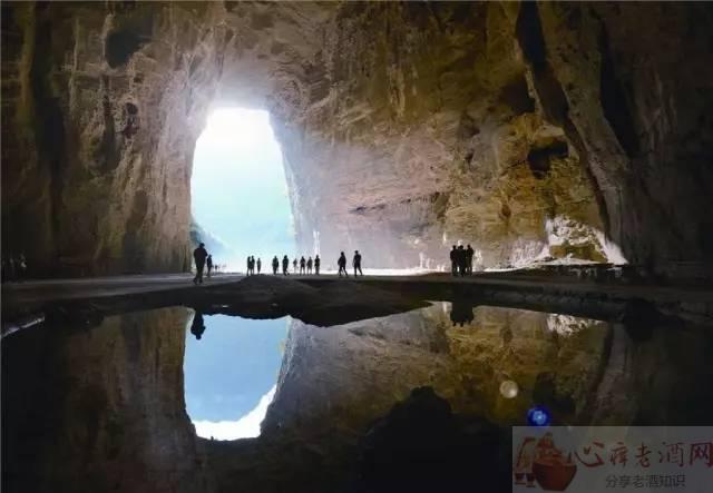 巴东垭口富硒茶（巴东茶）-硒宝网