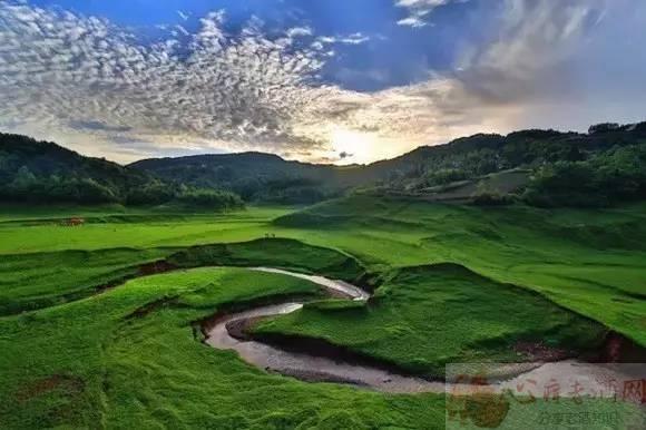 巴东垭口富硒茶（巴东茶）-硒宝网