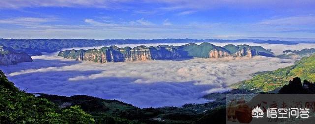 巴东垭口富硒茶（巴东茶）-硒宝网