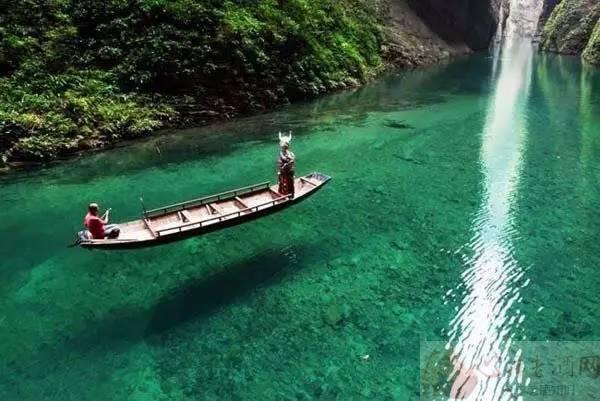 巴东垭口富硒茶（巴东茶）-硒宝网