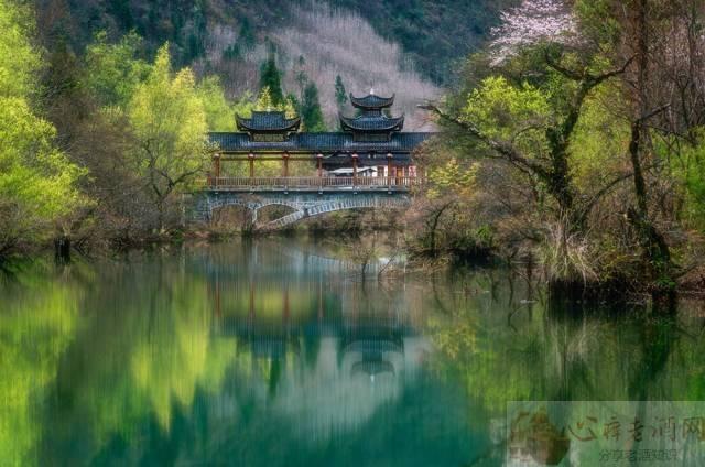 巴东垭口富硒茶（巴东茶）-硒宝网