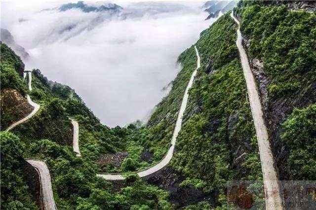 巴东垭口富硒茶（巴东茶）-硒宝网