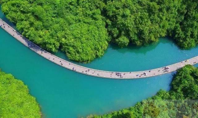 巴东垭口富硒茶（巴东茶）-硒宝网