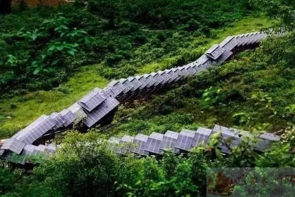 巴东垭口富硒茶（巴东茶）-硒宝网