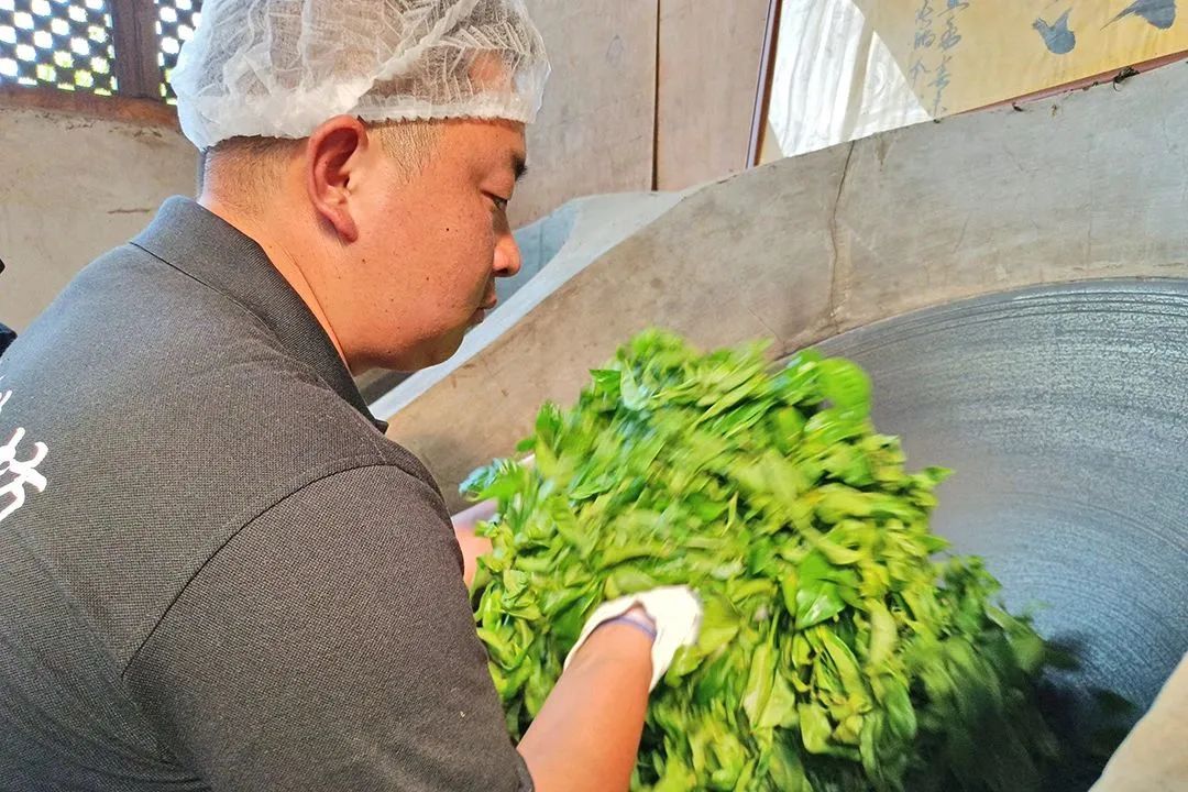 昌宁富硒普洱茶（富硒茶价格）-硒宝网