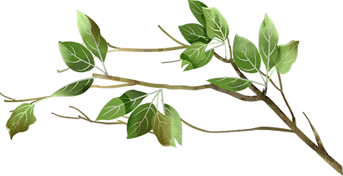 昌宁富硒普洱茶（富硒茶价格）-硒宝网