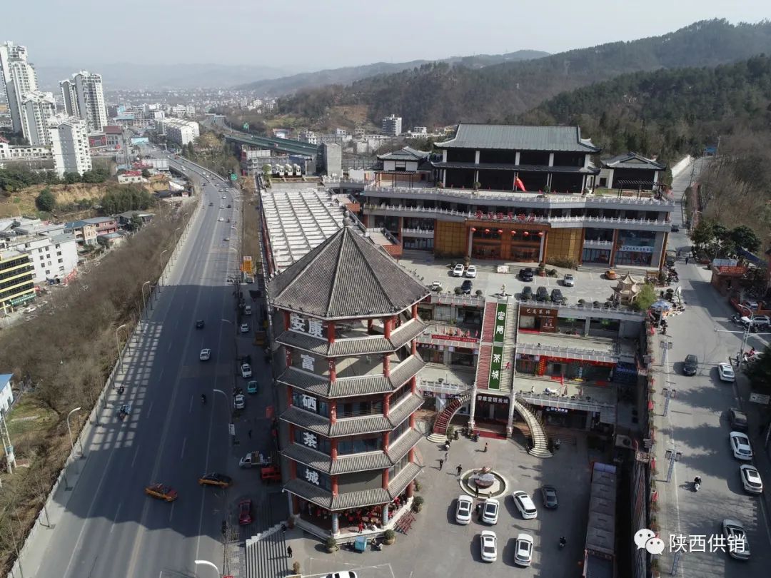 陕茶一号富硒茶(陕西富硒茶的功效与作用)-硒宝网