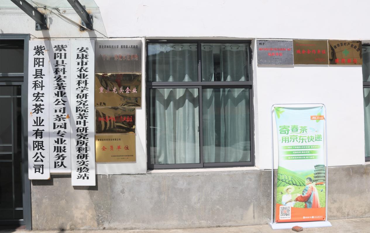 紫阳县出富硒茶(紫阳富硒茶文化)-硒宝网