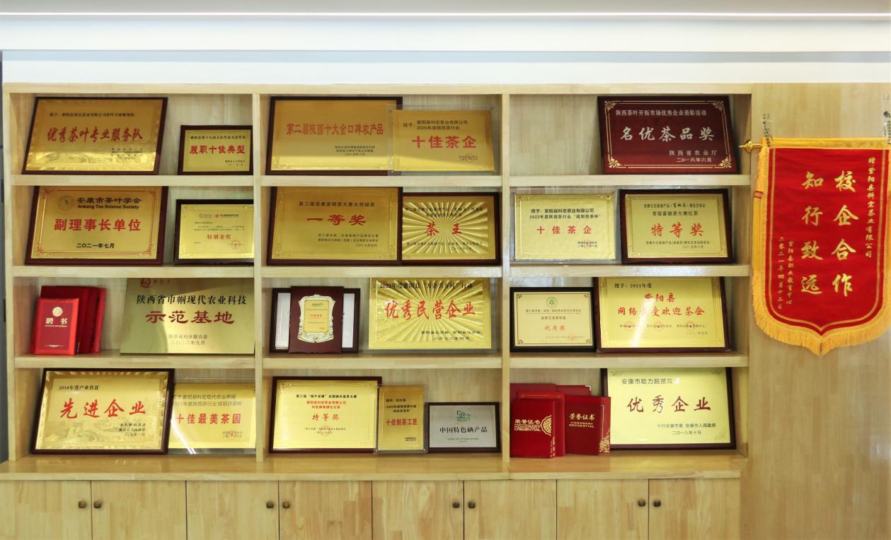 紫阳县出富硒茶(紫阳富硒茶文化)-硒宝网