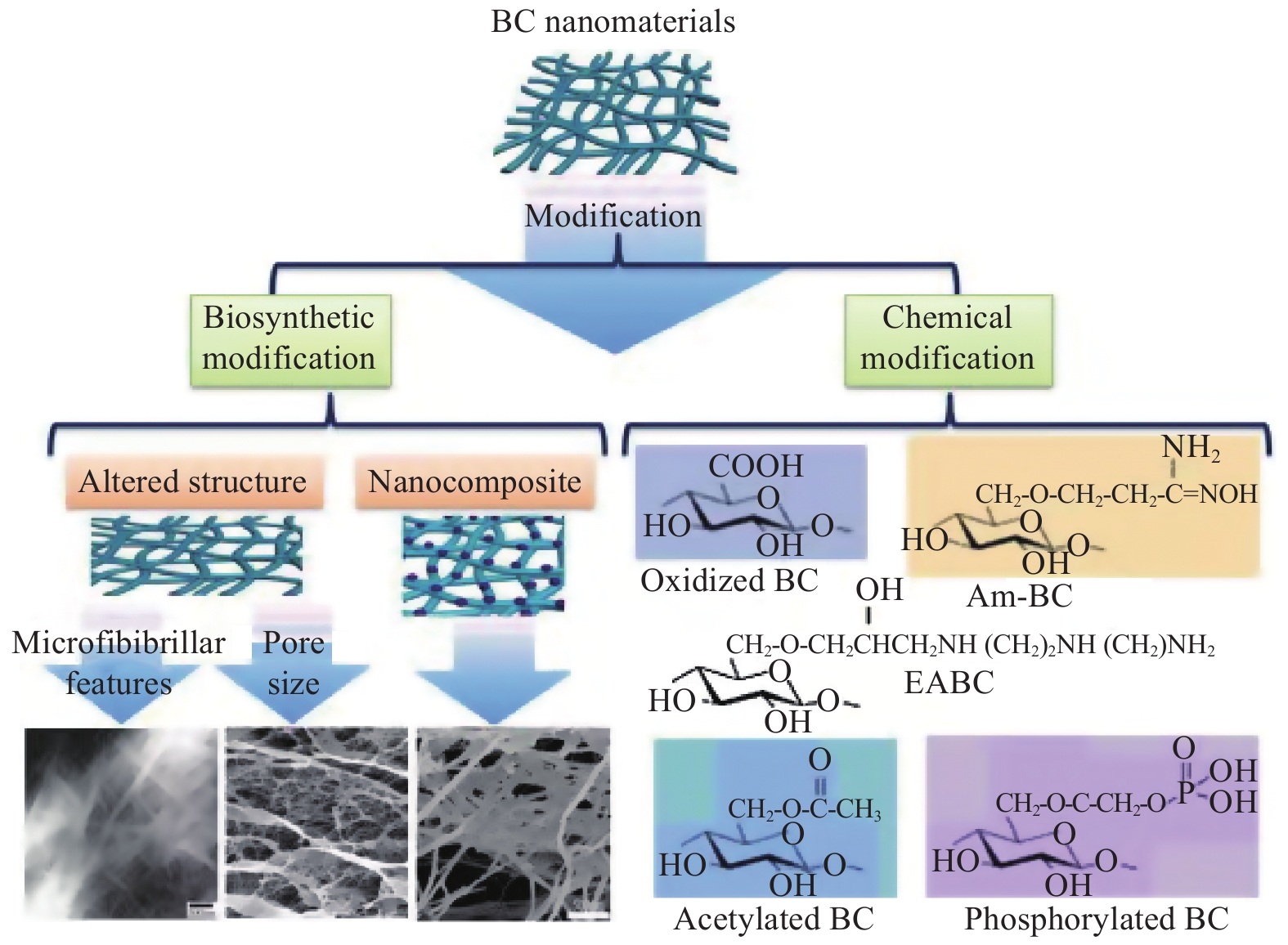 富硒藤茶降血压（富硒藤茶能降血糖吗）-硒宝网