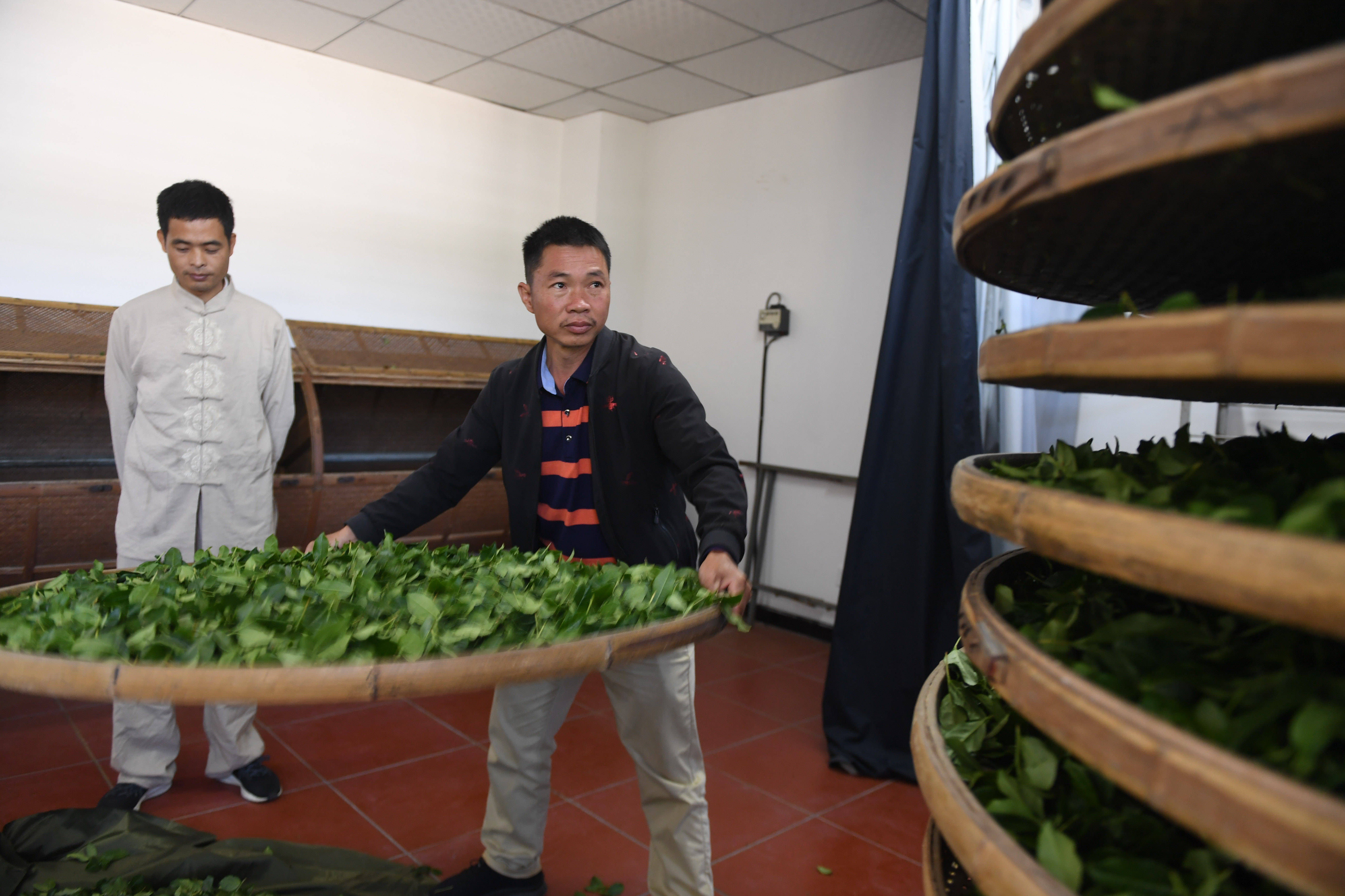 富硒茶有啥作用（茶叶富硒）-硒宝网