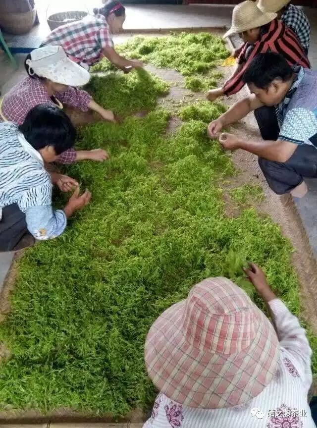 藤益生富硒藤茶(富硒藤条茶)-硒宝网