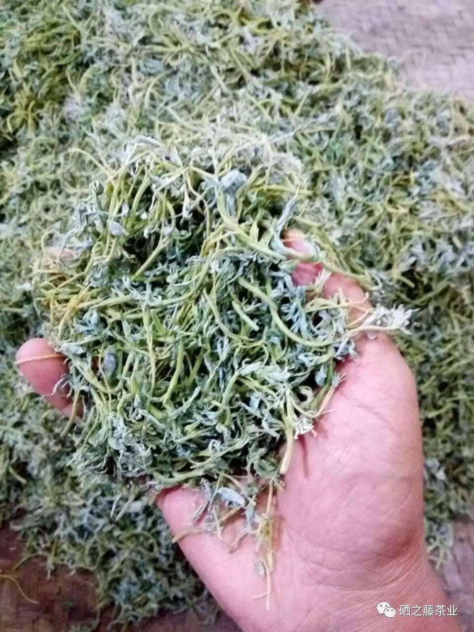 藤益生富硒藤茶(富硒藤条茶)-硒宝网