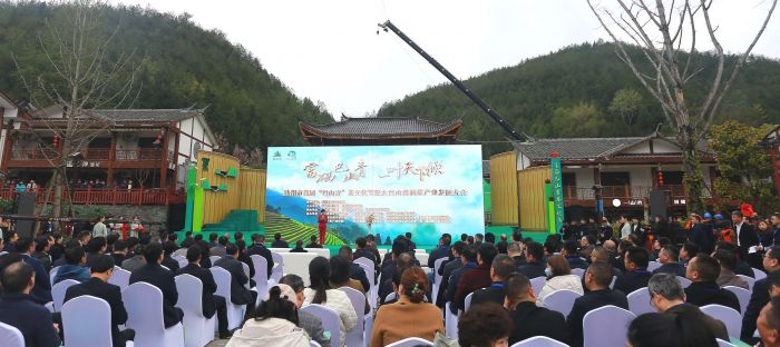 万源富硒茶照片（万源富硒茶的功效与作用）-硒宝网