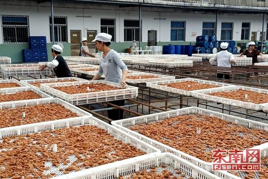 富硒八仙茶存放(八仙山富硒红茶)-硒宝网