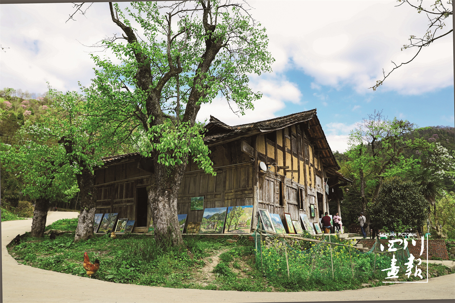 大巴山富硒茶区（富硒茶园）-硒宝网