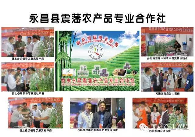 思域富硒大麦茶(富硒大麦茶的功效)-硒宝网