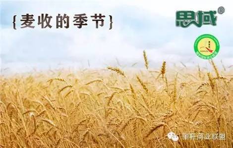 思域富硒大麦茶(富硒大麦茶的功效)-硒宝网