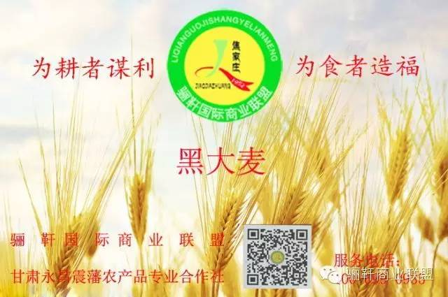 思域富硒大麦茶(富硒大麦茶的功效)-硒宝网