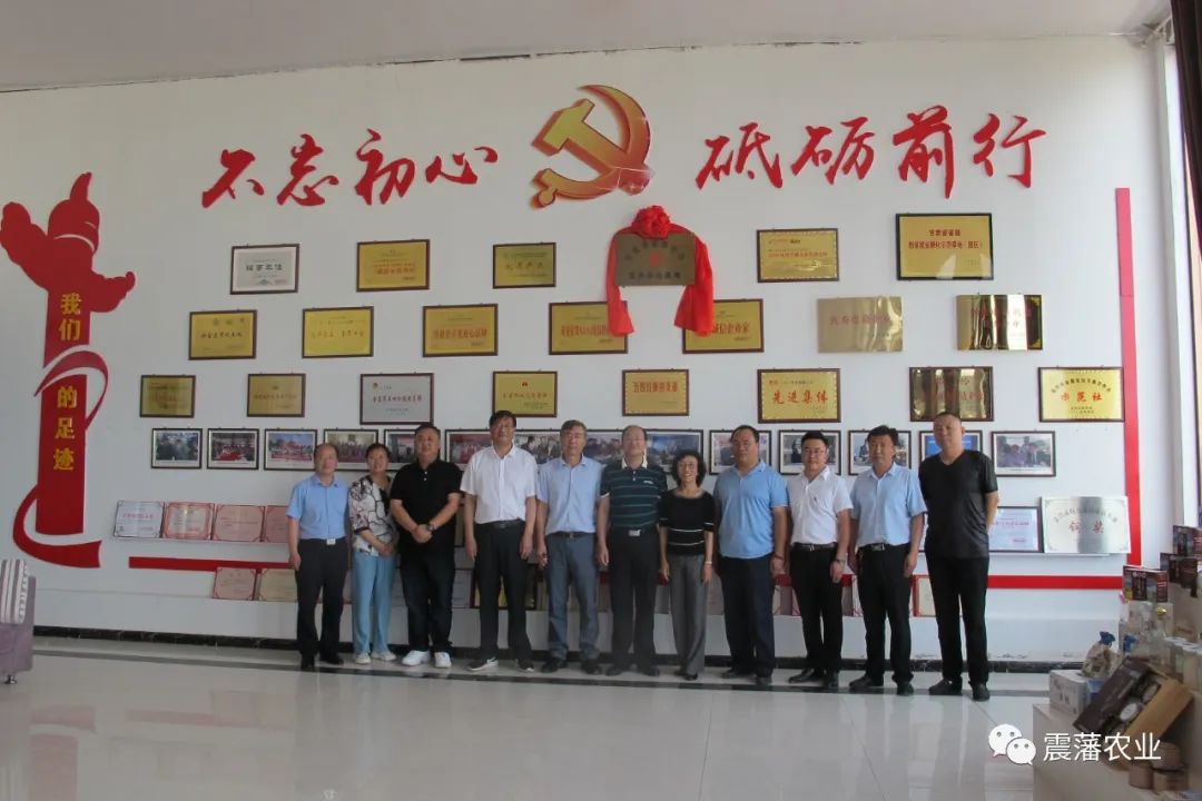 思域富硒大麦茶(大麦茶补硒吗)-硒宝网