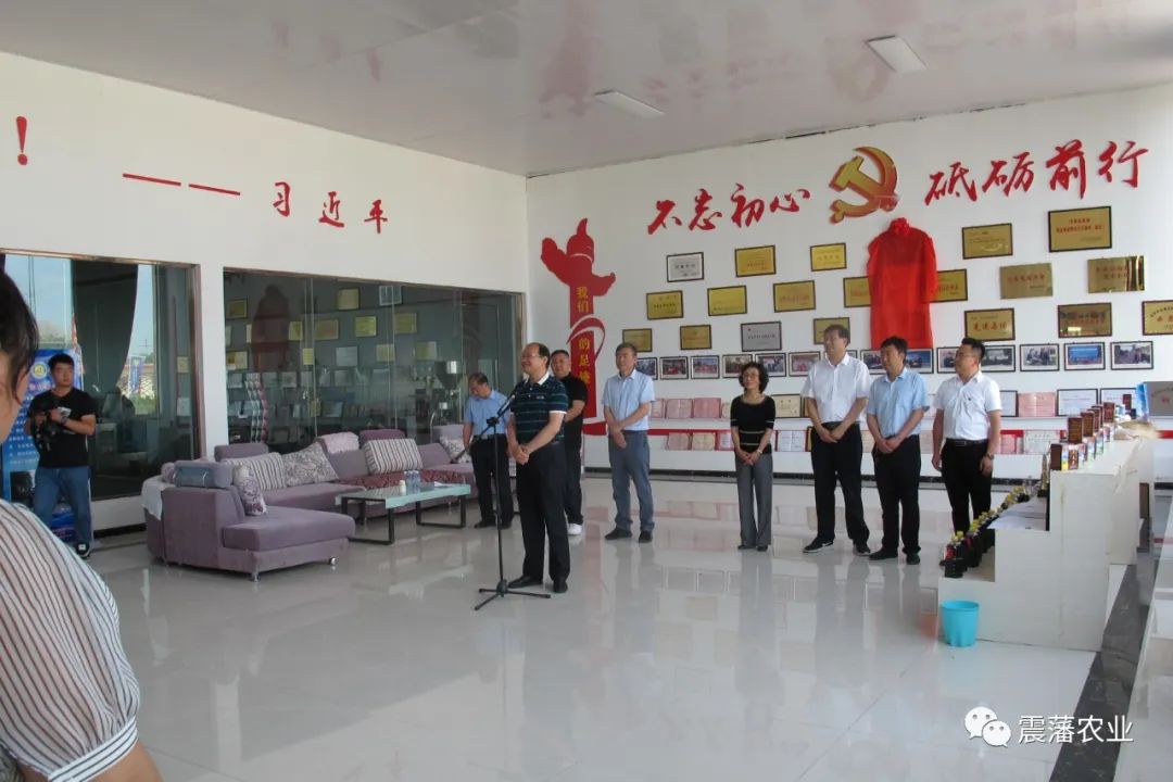 思域富硒大麦茶(大麦茶补硒吗)-硒宝网