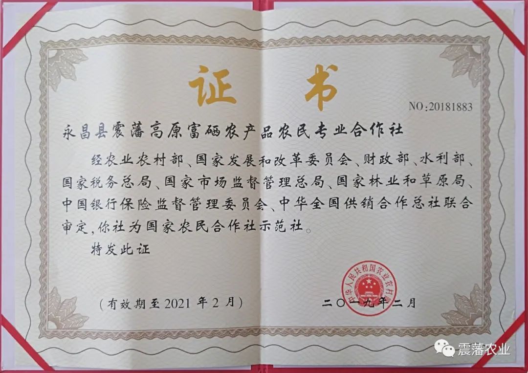 思域富硒大麦茶(大麦茶补硒吗)-硒宝网