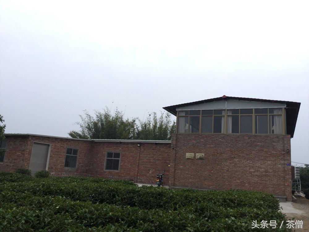 富硒八仙茶存放（富硒八仙茶是什么种类）-硒宝网