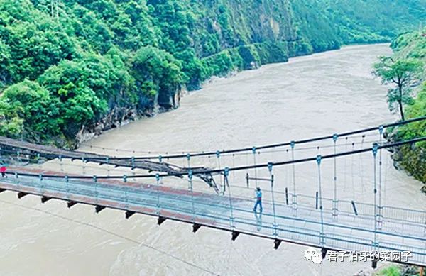 富硒茶能不能吃(富硒茶会失眠吗)-硒宝网