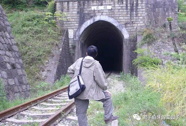 富硒茶能不能吃(富硒茶会失眠吗)-硒宝网