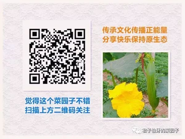 富硒茶能不能吃(富硒茶会失眠吗)-硒宝网