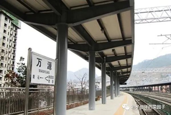 富硒茶能不能吃(富硒茶会失眠吗)-硒宝网