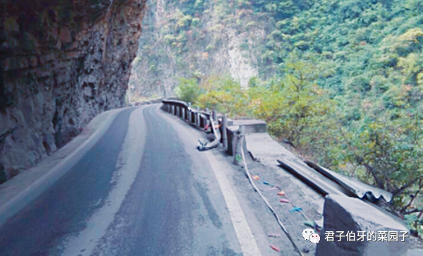 富硒茶能不能吃(富硒茶会失眠吗)-硒宝网