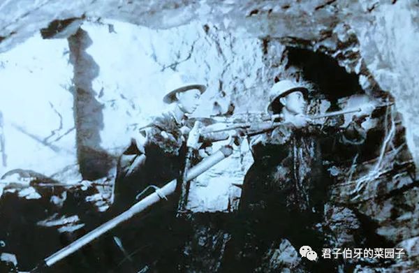 富硒茶能不能吃(富硒茶会失眠吗)-硒宝网