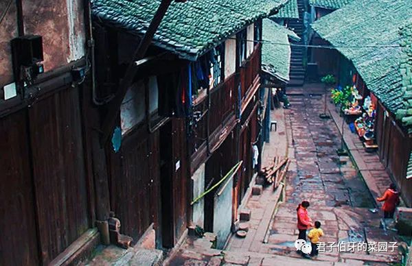 富硒茶能不能吃(富硒茶会失眠吗)-硒宝网