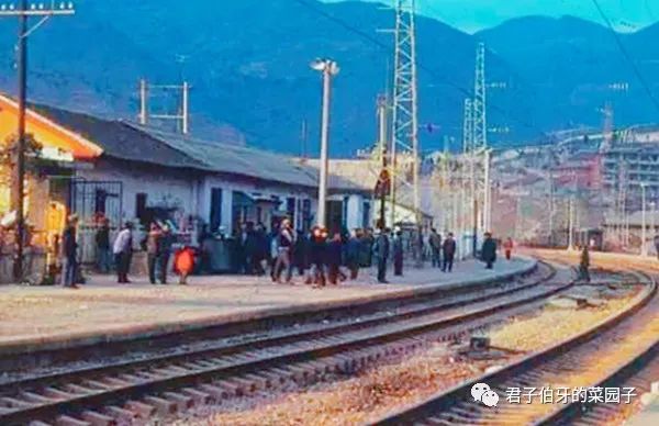 富硒茶能不能吃(富硒茶会失眠吗)-硒宝网