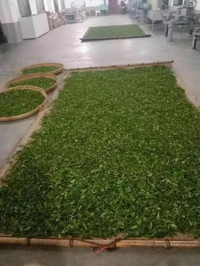 西世源富硒柚茶(富硒柚图片)-硒宝网