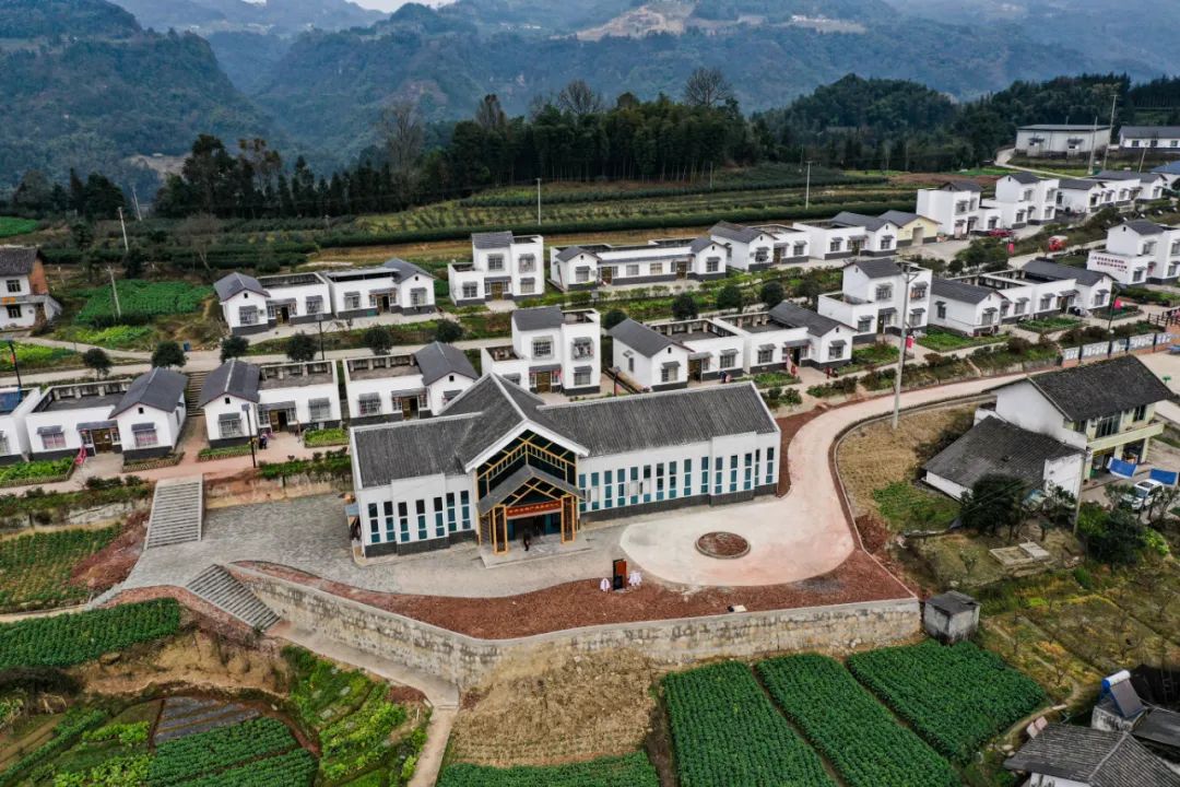 高笋乡富硒茶果（笋果水的功效与作用）-硒宝网