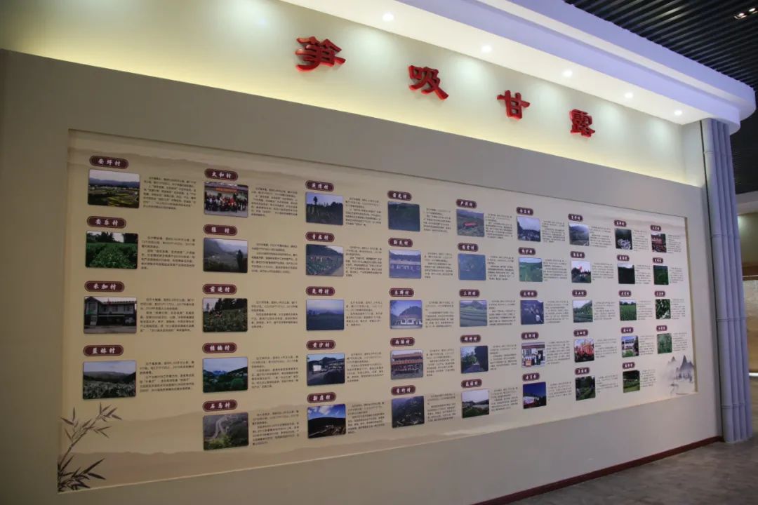 高笋乡富硒茶果（笋果水的功效与作用）-硒宝网