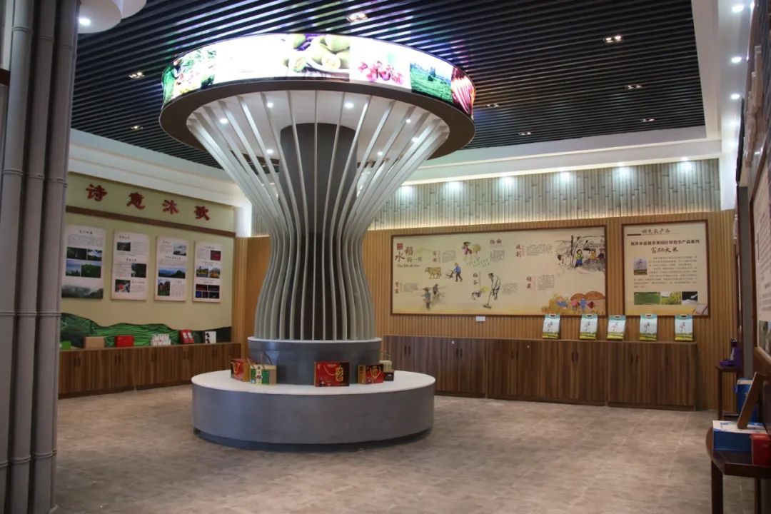 高笋乡富硒茶果（笋果水的功效与作用）-硒宝网