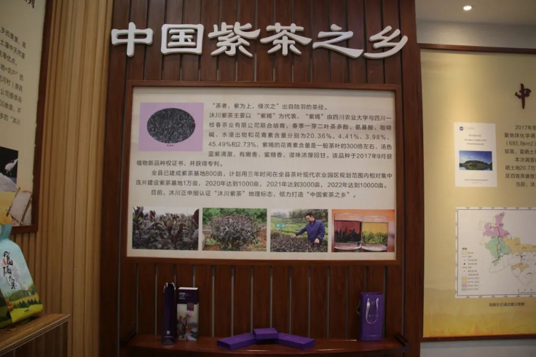 高笋乡富硒茶果（笋果水的功效与作用）-硒宝网