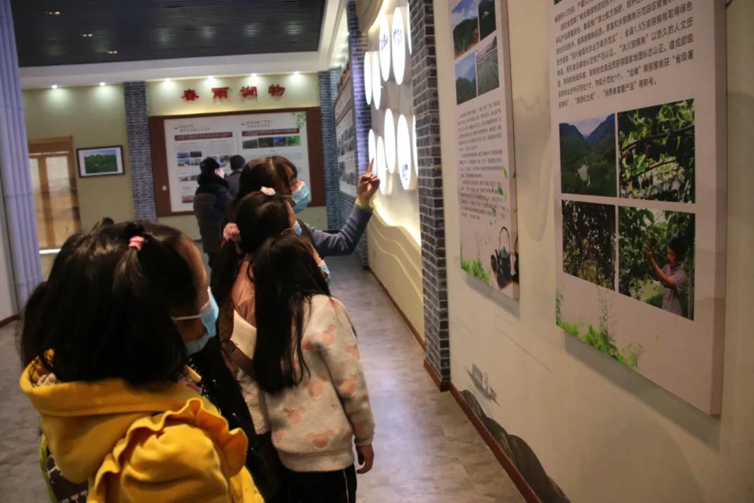 高笋乡富硒茶果（笋果水的功效与作用）-硒宝网