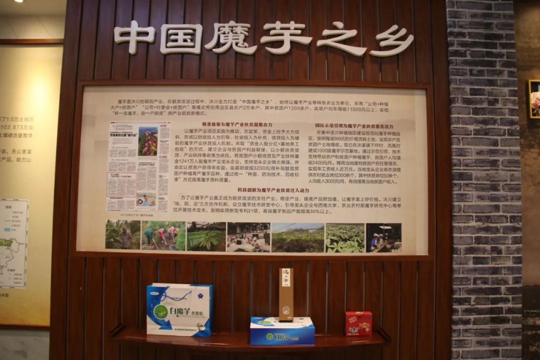 高笋乡富硒茶果（笋果水的功效与作用）-硒宝网