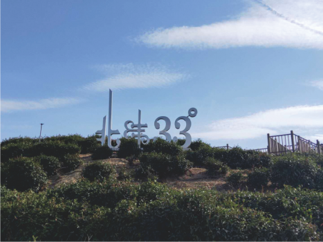 富硒茶有重金属(茶金属富硒有毒吗)-硒宝网