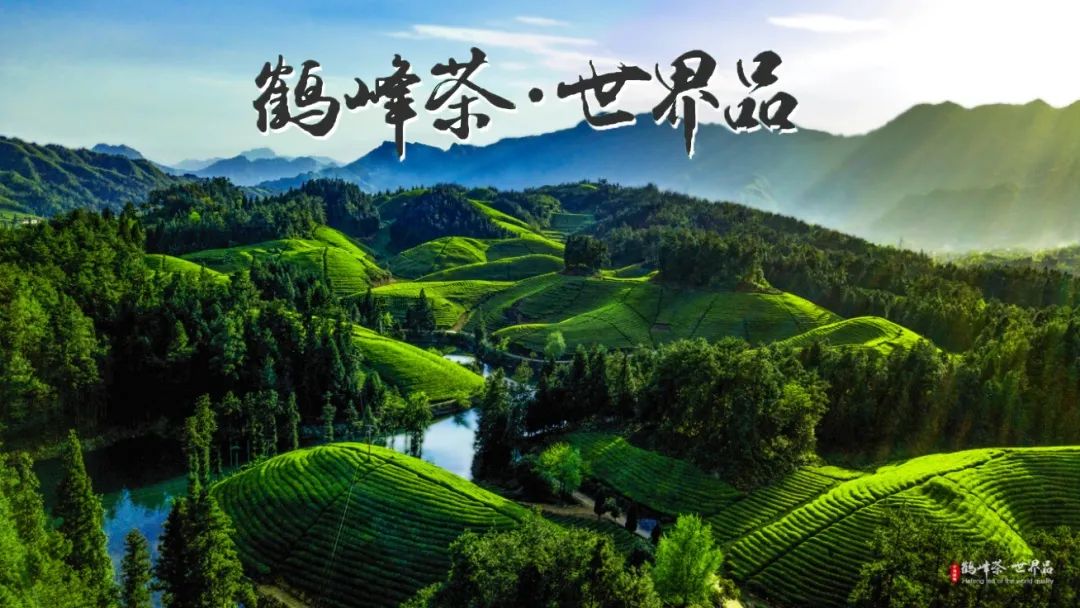 仙寅山富硒野茶（仙寅山富硒野茶）-硒宝网