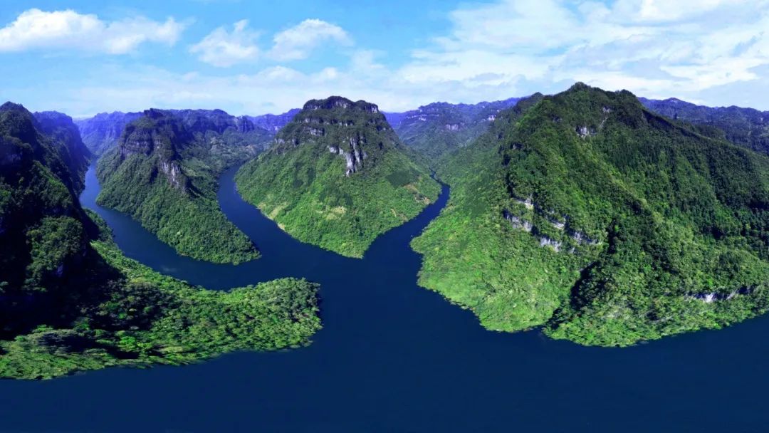 仙寅山富硒野茶（仙寅山富硒野茶）-硒宝网