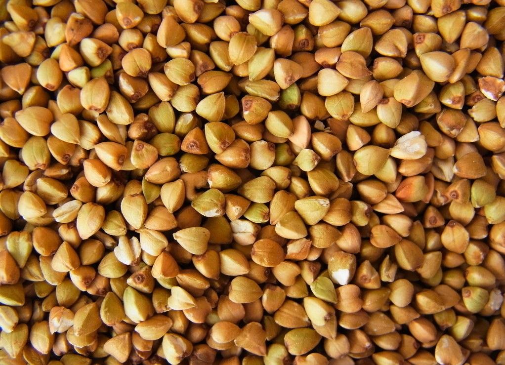 富硒乌麦苦荞茶（苦芥乌麦茶和苦荞茶）-硒宝网