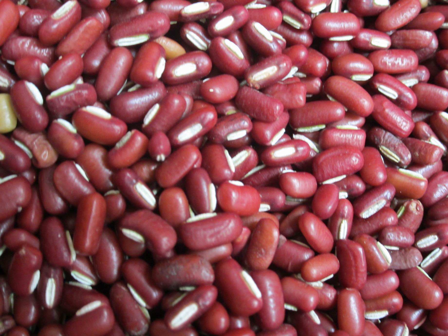 富硒乌麦苦荞茶（苦芥乌麦茶和苦荞茶）-硒宝网