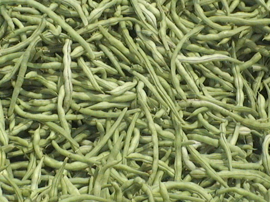 富硒乌麦苦荞茶（苦芥乌麦茶和苦荞茶）-硒宝网