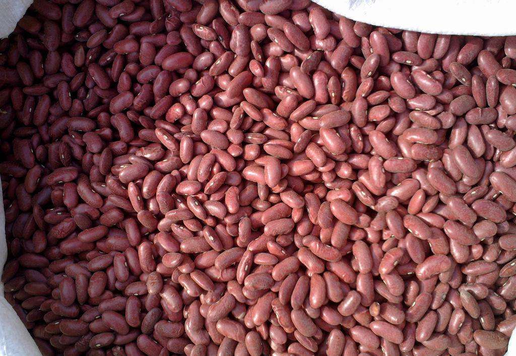 富硒乌麦苦荞茶（苦芥乌麦茶和苦荞茶）-硒宝网