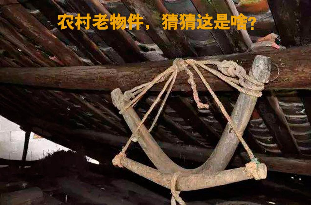 富硒乌麦苦荞茶（苦芥乌麦茶和苦荞茶）-硒宝网